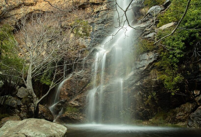 فندق Villa Flora