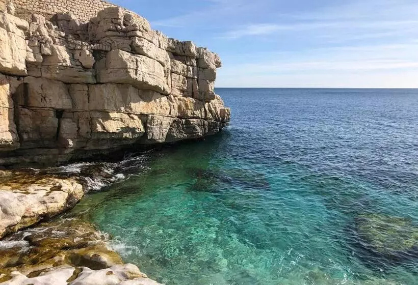 Le Mouton à 5 Pattes Aubagnecassisaix En Provence