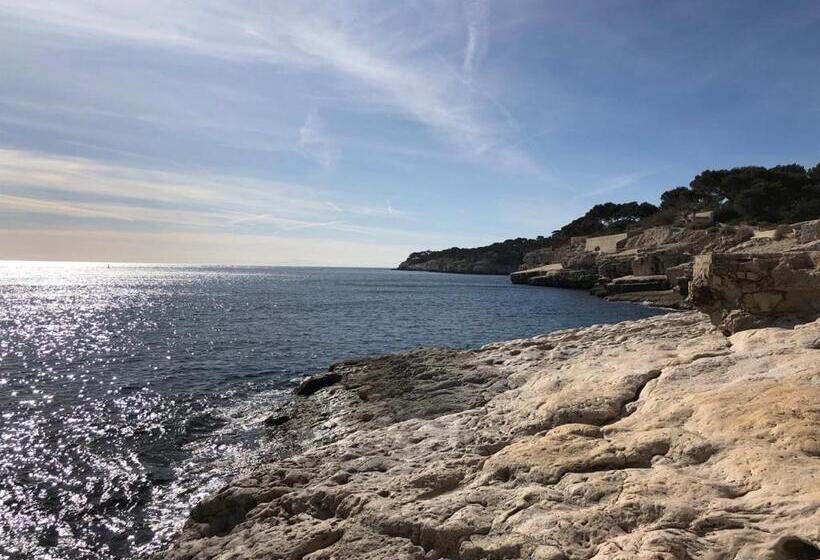 Le Mouton à 5 Pattes Aubagnecassisaix En Provence