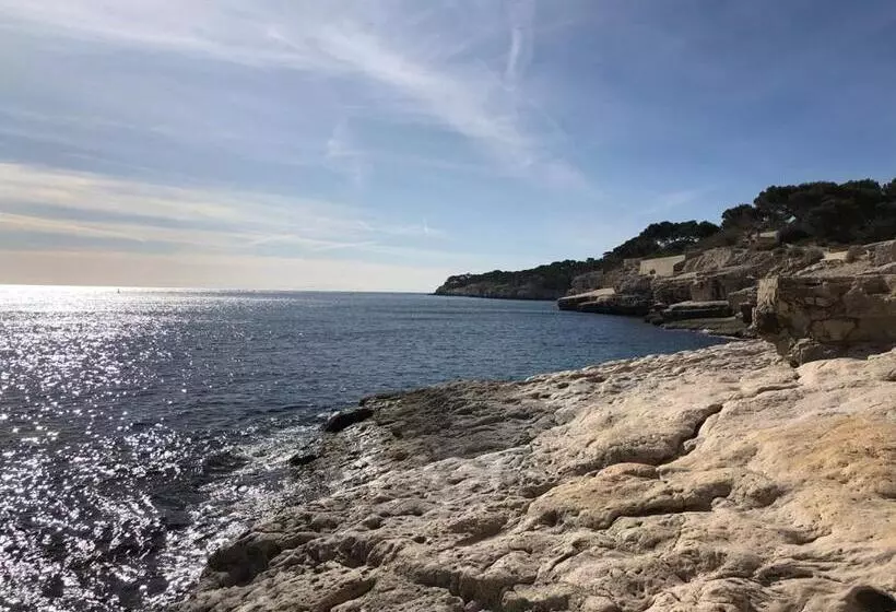 Le Mouton à 5 Pattes Aubagnecassisaix En Provence
