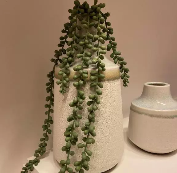 Le Mouton à 5 Pattes Aubagnecassisaix En Provence