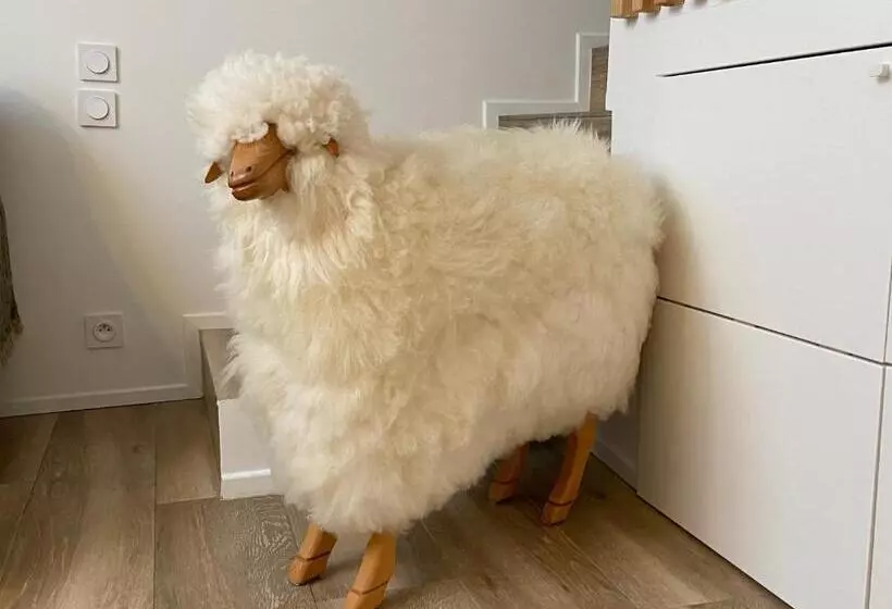 Le Mouton à 5 Pattes Aubagnecassisaix En Provence