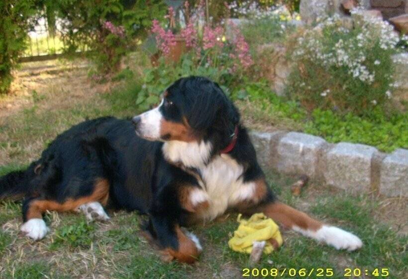 Schönes Appartement Am Meer In Rerik