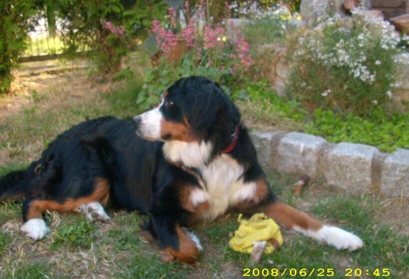 Schönes Appartement Am Meer In Rerik