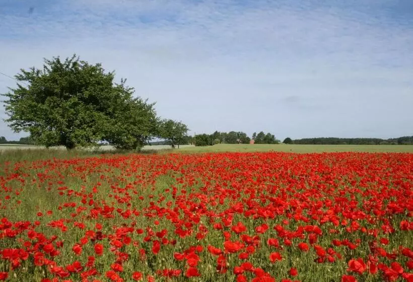 Schönes Appartement Am Meer In Rerik