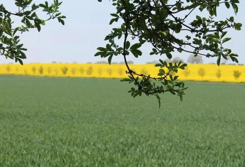 Schönes Appartement Am Meer In Rerik