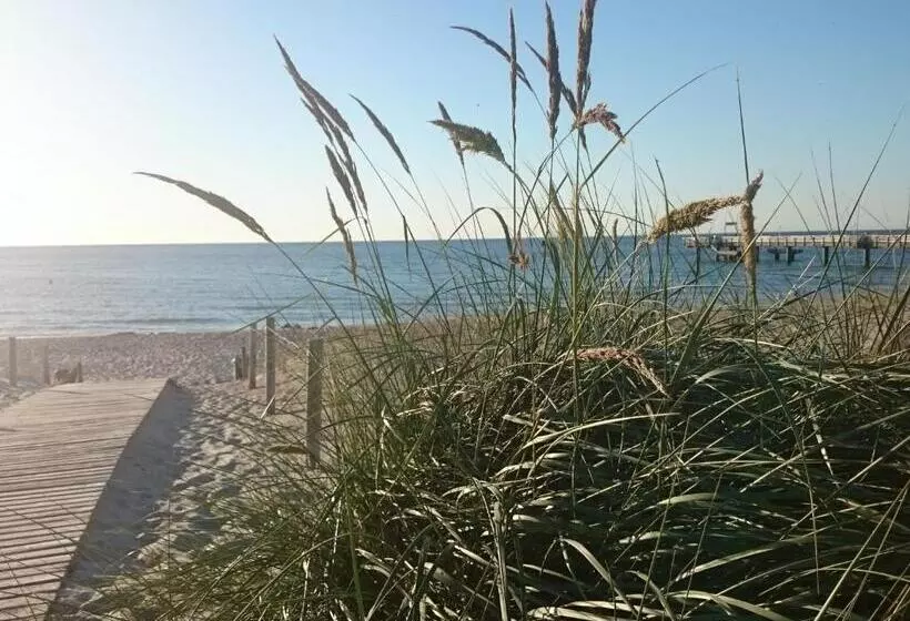 Schönes Appartement Am Meer In Rerik