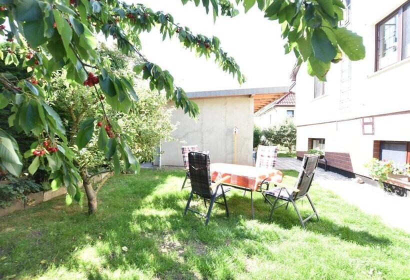 Schönes Appartement Am Meer In Rerik