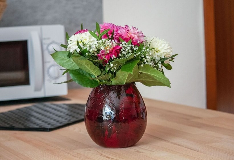 Modern Apartment In Hahnenklee Near Skiing Slopes