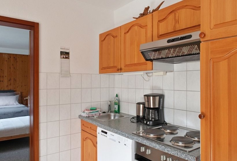 Modern Apartment In Hahnenklee Near Skiing Slopes