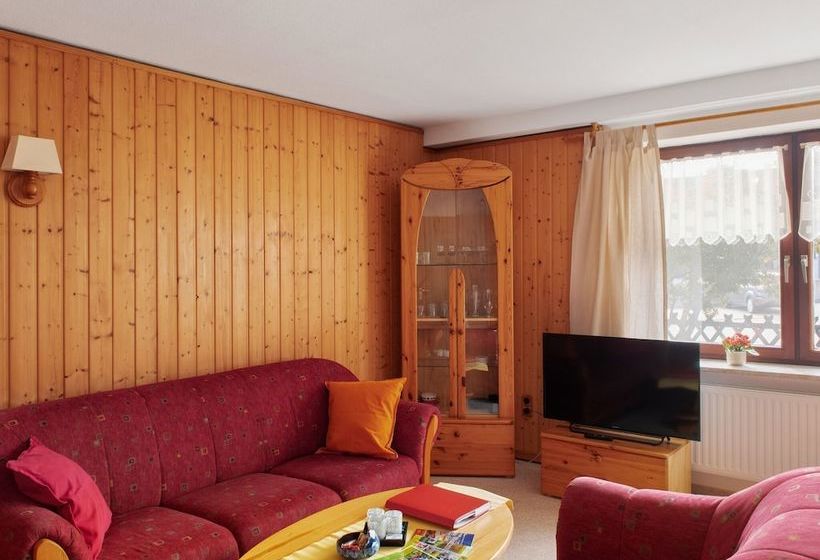 Modern Apartment In Hahnenklee Near Skiing Slopes