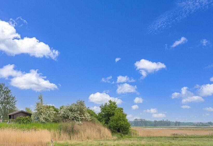 Snug Bungalow In Insel Poel Germany Near Beach