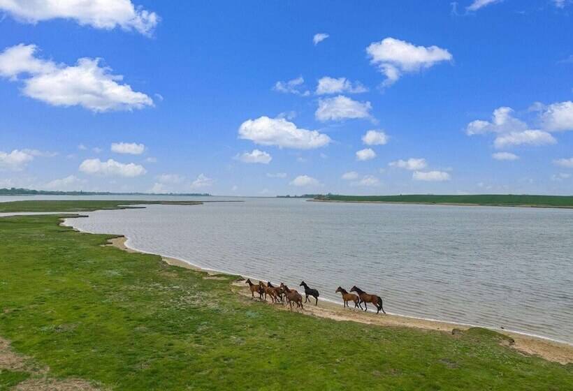 Snug Bungalow In Insel Poel Germany Near Beach