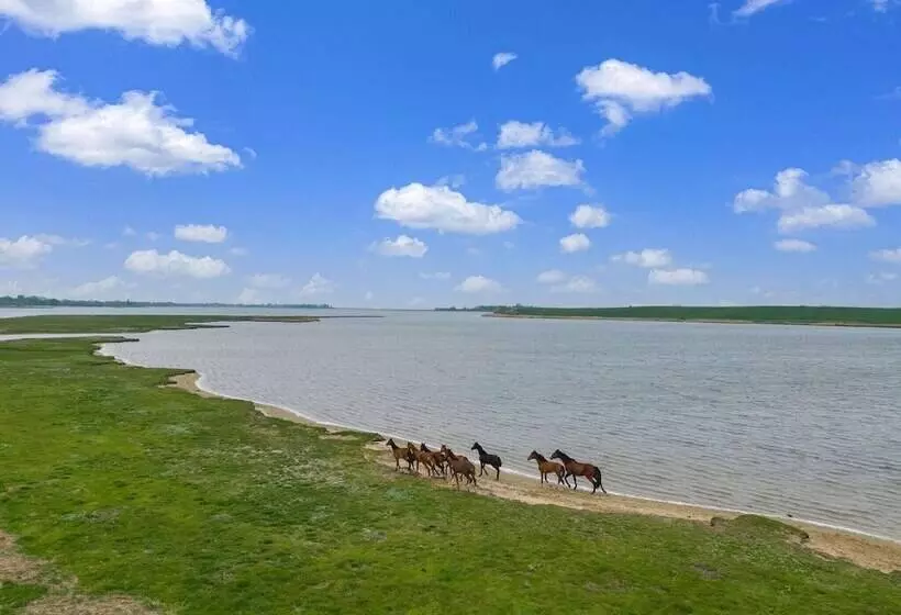 Snug Bungalow In Insel Poel Germany Near Beach