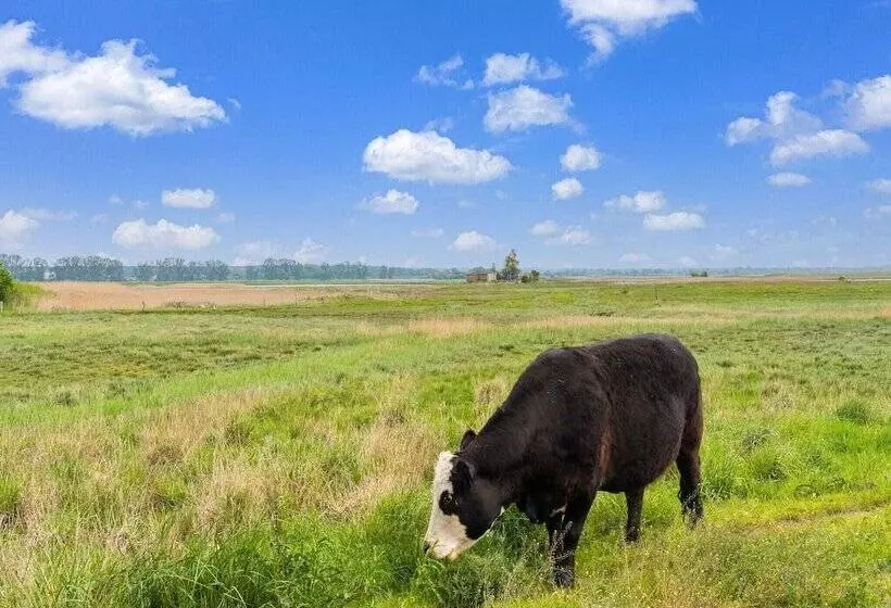 Snug Bungalow In Insel Poel Germany Near Beach