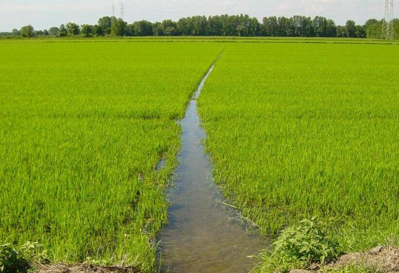 Agriturismo Le Risaie