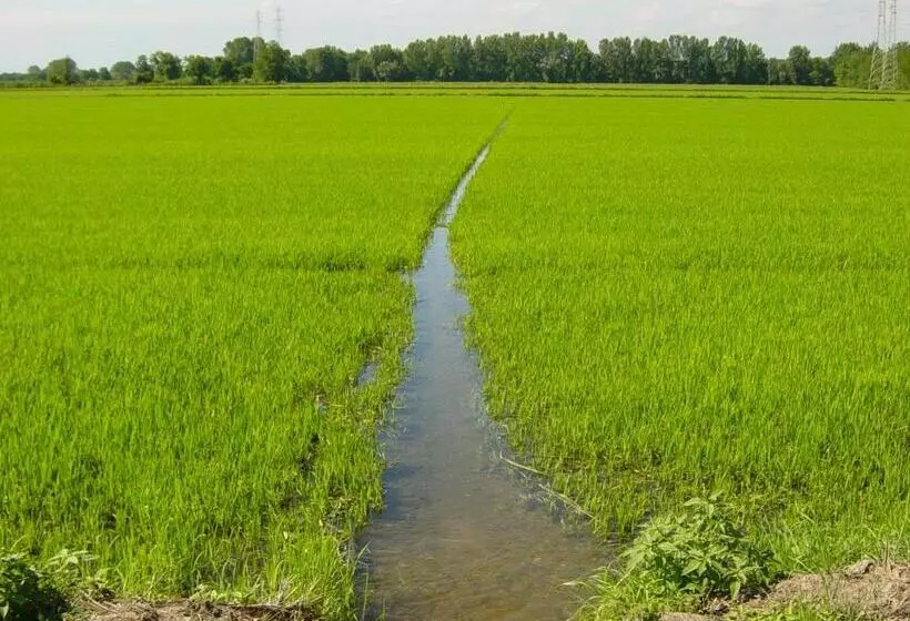 Agriturismo Le Risaie