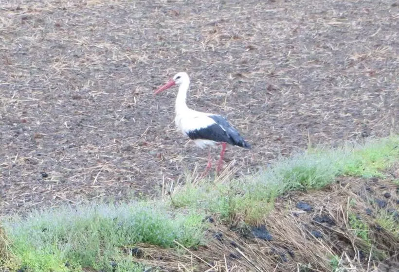 Agriturismo Le Risaie