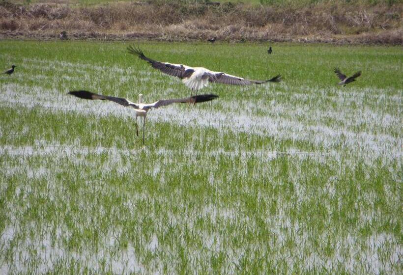 Agriturismo Le Risaie