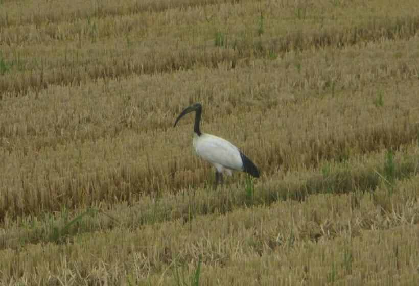 Agriturismo Le Risaie