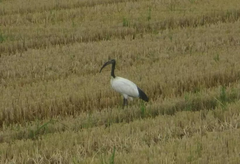 Agriturismo Le Risaie
