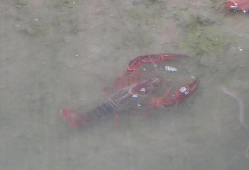 Agriturismo Le Risaie