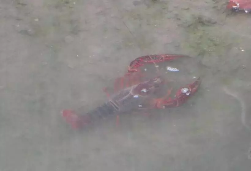 Agriturismo Le Risaie