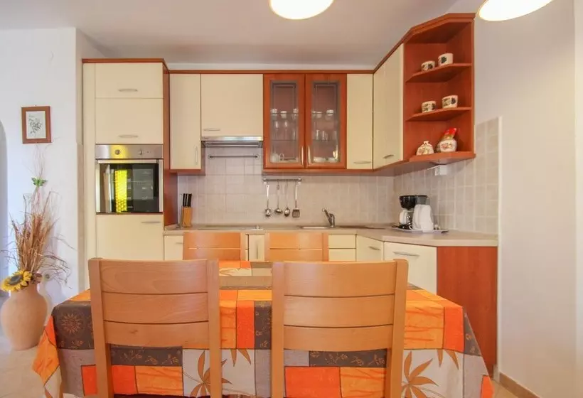Alenka Orange