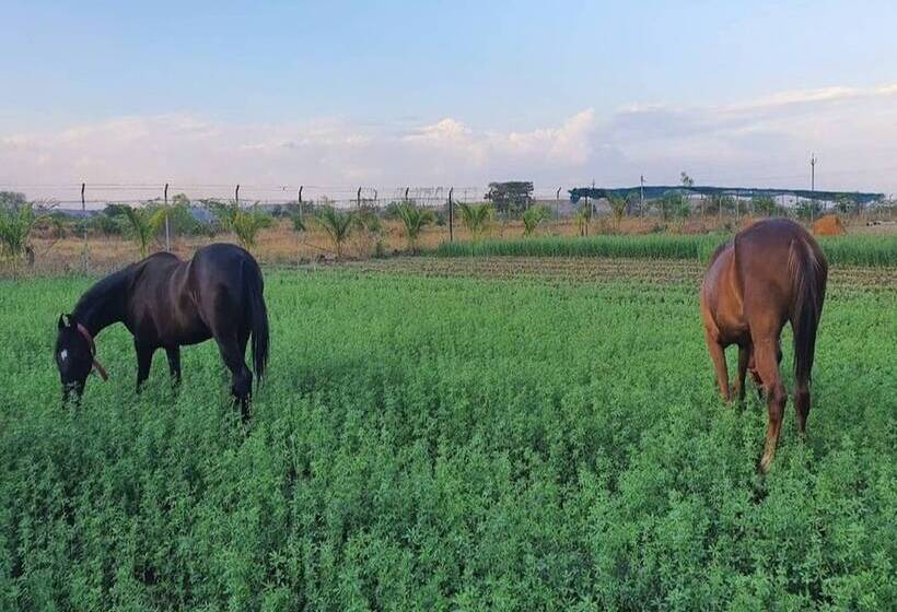 Aranyagiri Countryside Resort, Near Pune