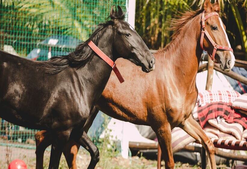 Aranyagiri Countryside Resort, Near Pune