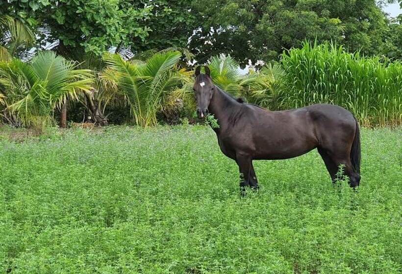 Aranyagiri Countryside Resort, Near Pune