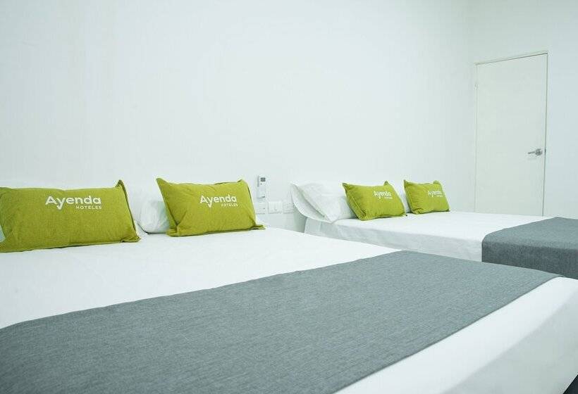 Pension Ayenda House Concepción 1317