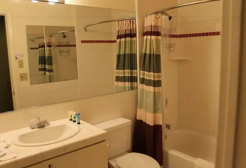 בית מלון כפרי Big Pines Mountain House