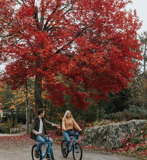 فندق The Lodge On The Cove