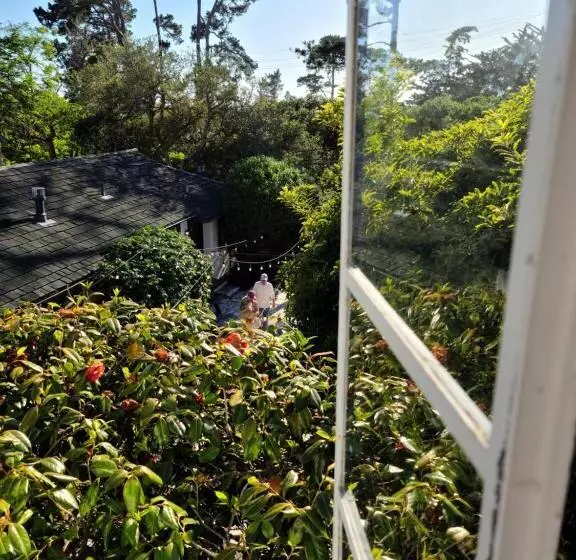 هتل The Vagabond S House Boutique Inn