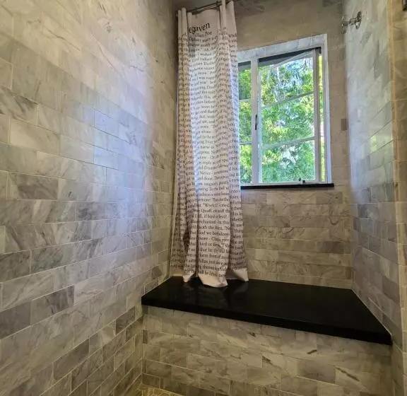 هتل The Vagabond S House Boutique Inn