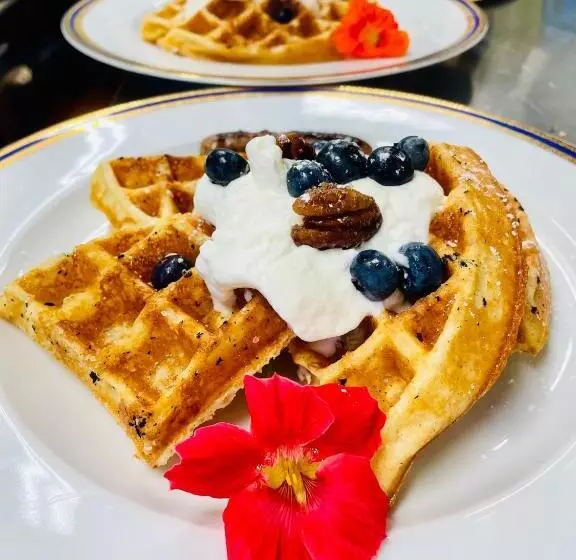 酒店 The Village Inn Of Woodstock