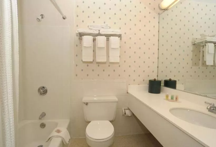 ホテル University Lodge