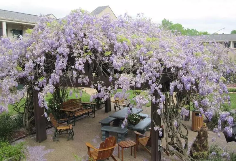 호텔 Vineyard Court Designer Suites