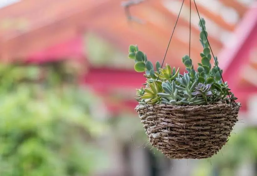 호텔 Vineyard Court Designer Suites