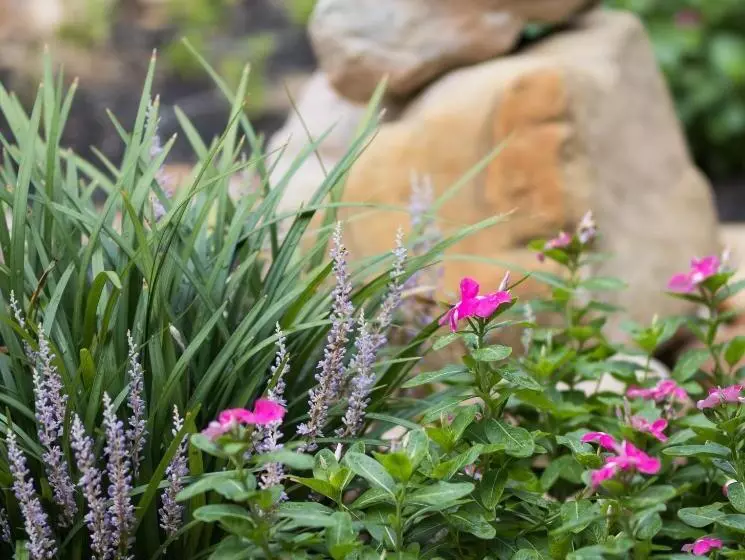 호텔 Vineyard Court Designer Suites