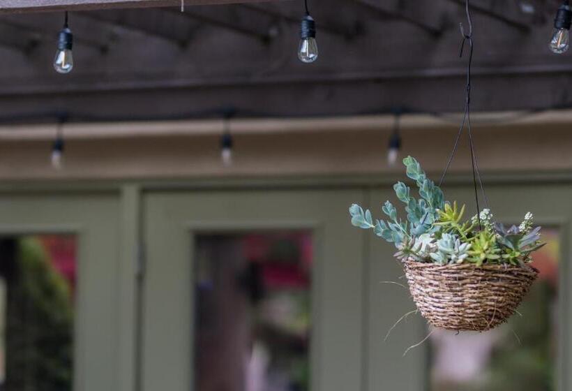 فندق Vineyard Court Designer Suites