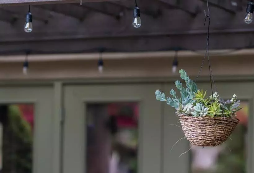 호텔 Vineyard Court Designer Suites