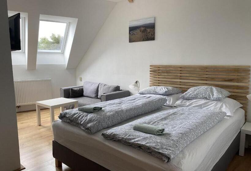 ペンション Penzion Stanice Lyžařů Fryšava