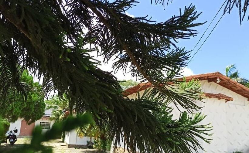 פנסיון Pousada Barão Do Javary