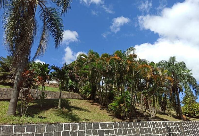 פנסיון Pousada Barão Do Javary