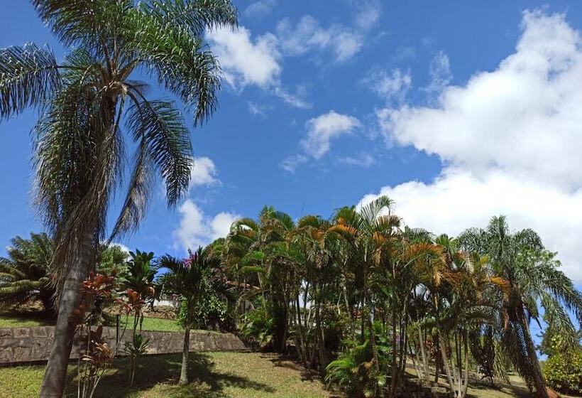 פנסיון Pousada Barão Do Javary