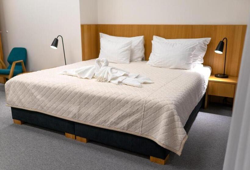 Отель Smetanova