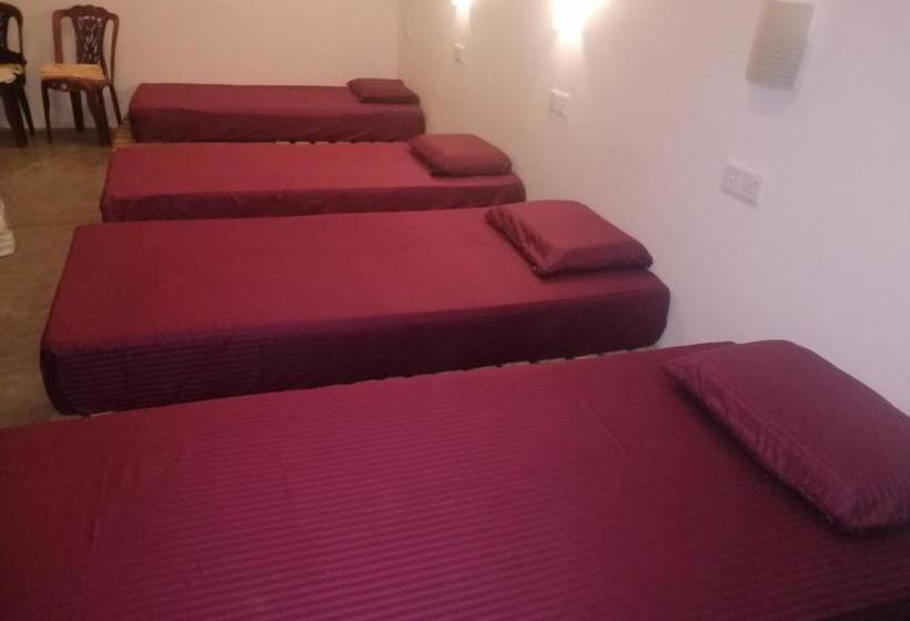 Tiki Bar Hostel Ella