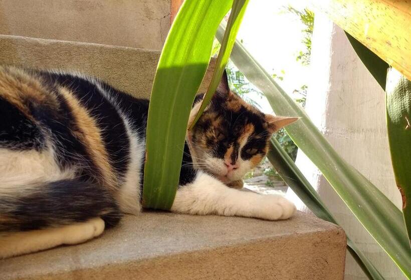 Hostel Hospedaje Costa Norte